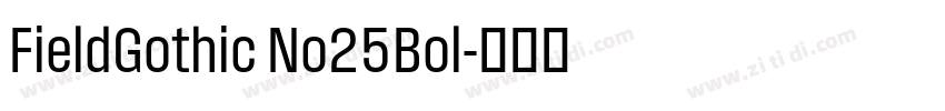 FieldGothic No25Bol字体转换